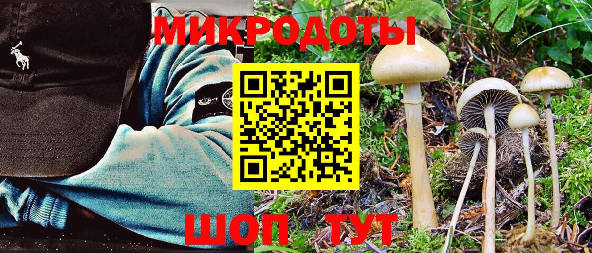 Псилоцибиновые грибы MAGIC MUSHROOMS Фурманов