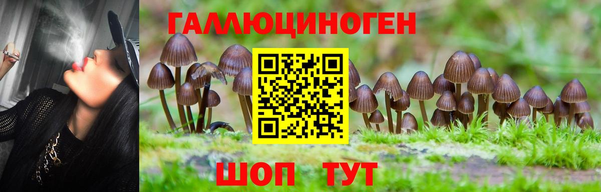 Галлюциногенные грибы Cubensis  Вход с VPN  Галлюциногенные грибы Psilocybine cubensis  Фурманов 